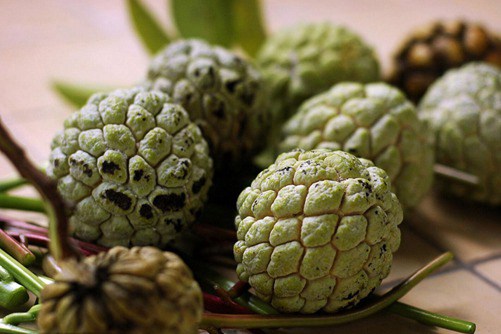 释迦图片 高清释迦图片大全